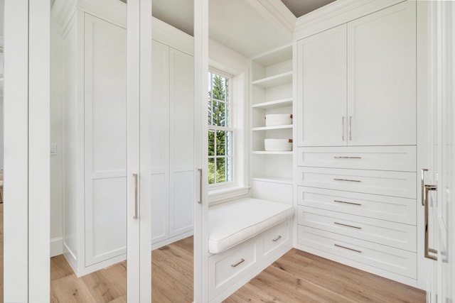 interior space with a healthy amount of sunlight and light hardwood / wood-style flooring