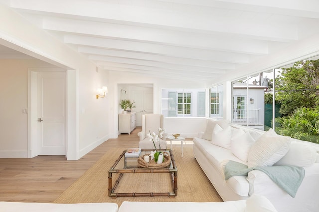236 Pendleton Ave, Palm Beach, FL 33480 - view of sunroom / solarium