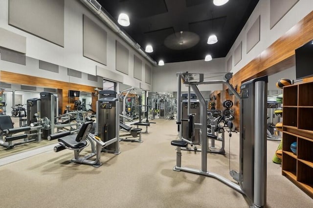 workout area with a high ceiling