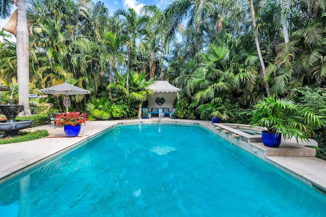 view of swimming pool featuring a jacuzzi and a patio