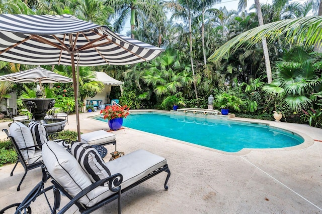 view of pool with a patio area and a jacuzzi