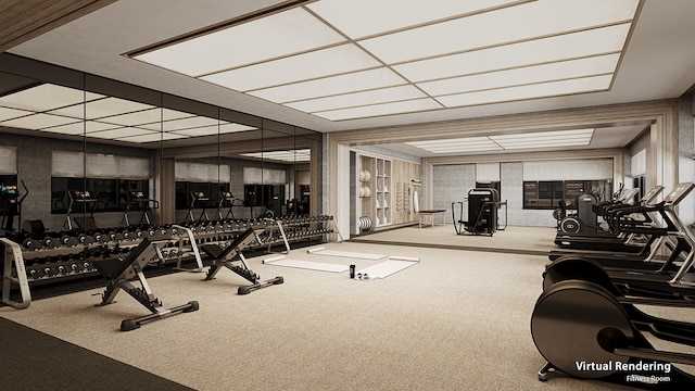 gym featuring light colored carpet