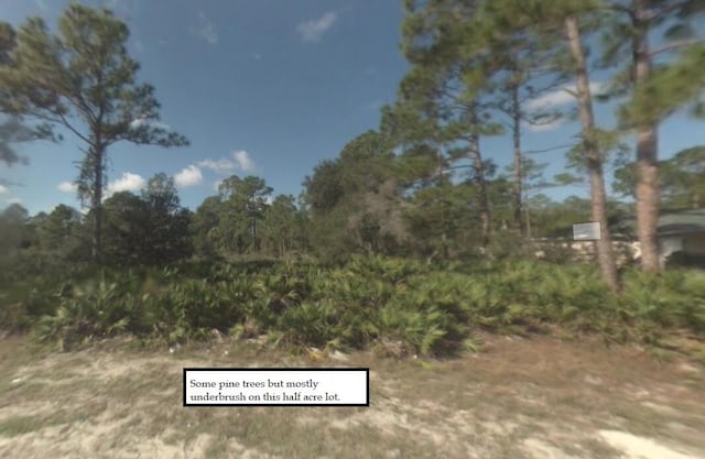 2309 Johns Ave, Alva FL, 33920 land for sale