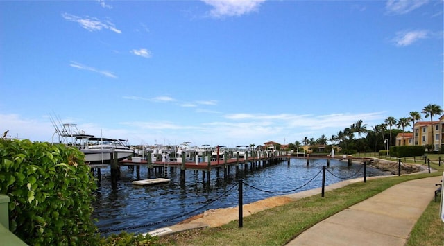 dock area with a water view