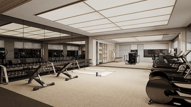 gym featuring carpet