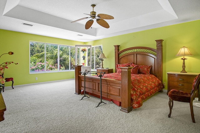 bedroom featuring a raised ceiling and multiple windows