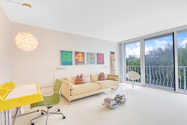 carpeted living room with a wall of windows