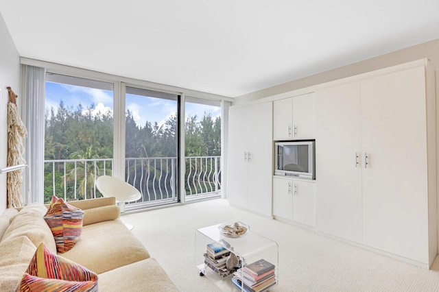 carpeted living room with a wealth of natural light