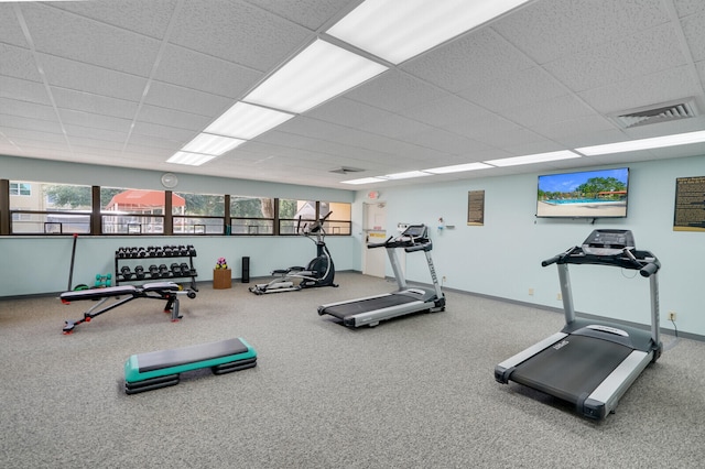 workout area featuring carpet, plenty of natural light, and a drop ceiling