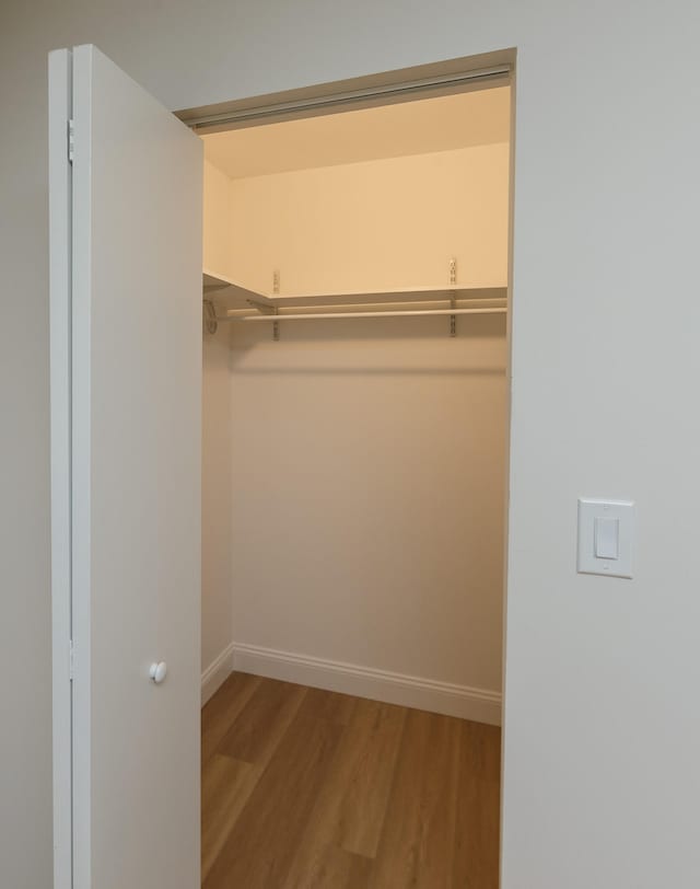 walk in closet with hardwood / wood-style flooring