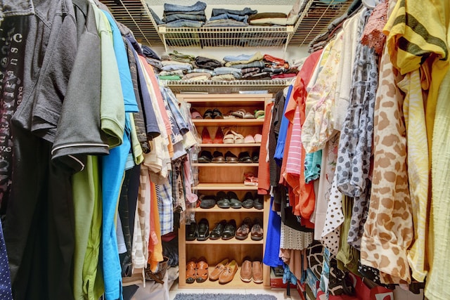 view of walk in closet