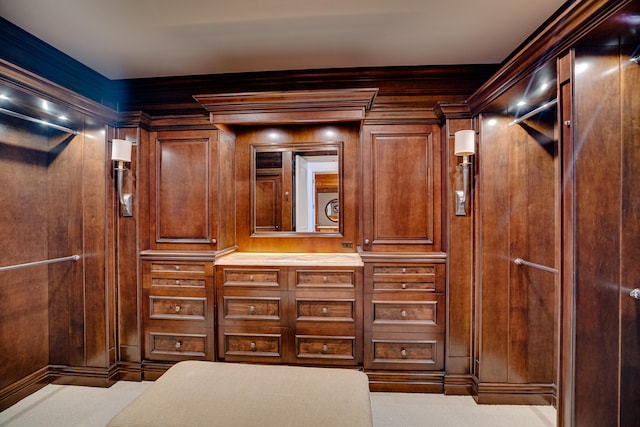 spacious closet featuring carpet flooring