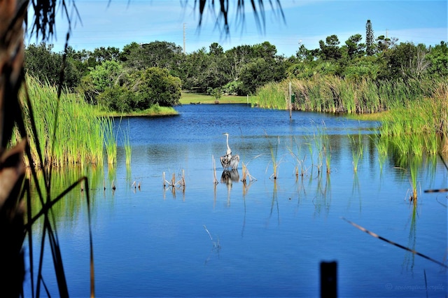 water view