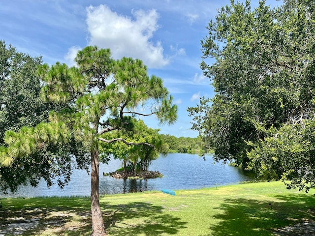 view of water feature