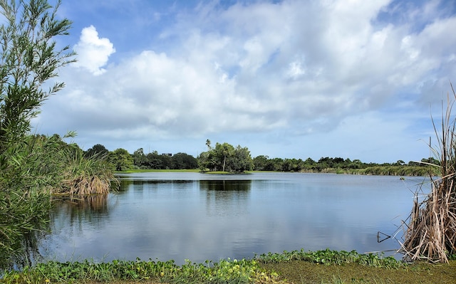 property view of water