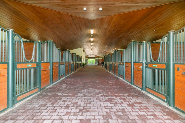 view of stable featuring an outdoor structure