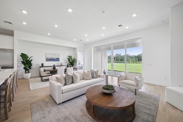 living room featuring light hardwood / wood-style flooring