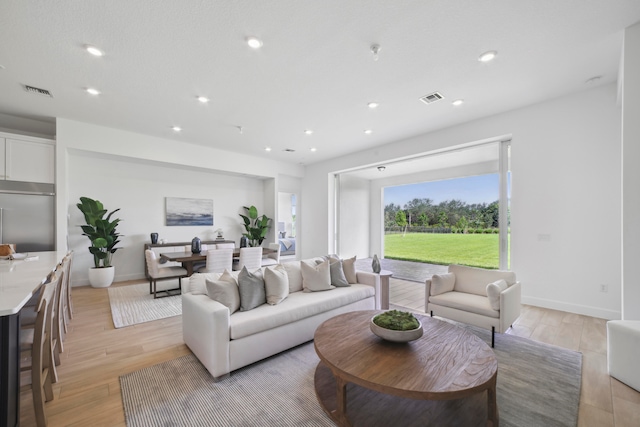 living room featuring light hardwood / wood-style flooring