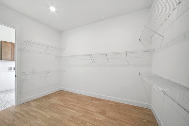 spacious closet with light wood-type flooring