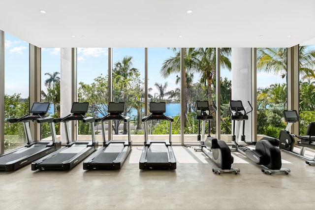 gym featuring plenty of natural light and a wall of windows