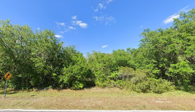 Listing photo 2 for 000 Canoe Creek Rd, Kenansville FL 34739