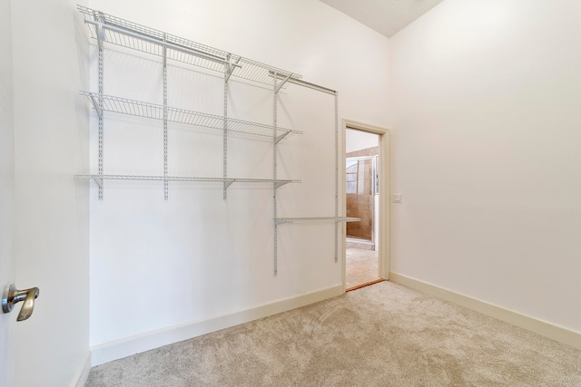 walk in closet featuring light colored carpet