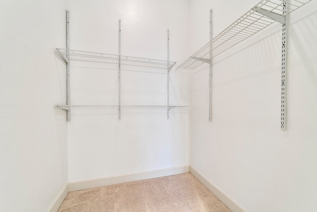 walk in closet with light colored carpet