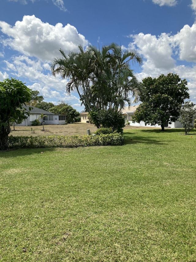 view of yard