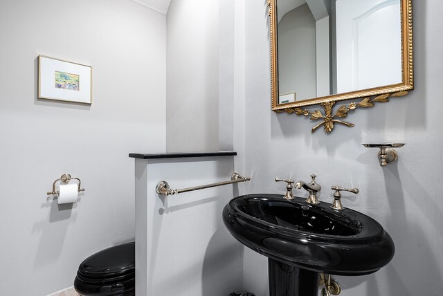 bathroom with toilet and sink