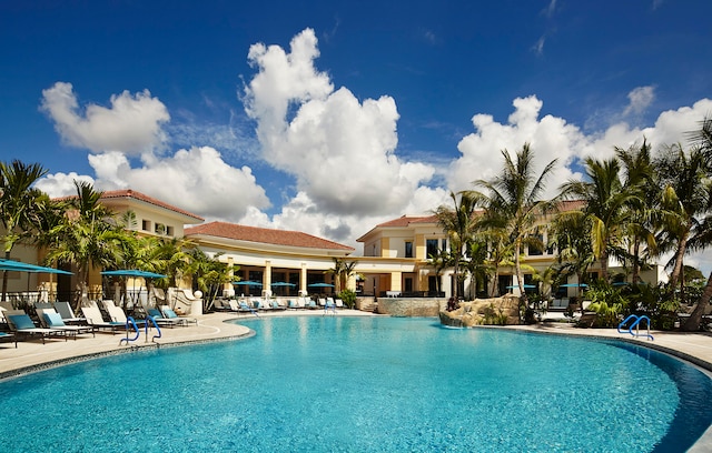 view of swimming pool featuring a patio