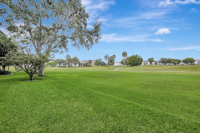 view of home's community with a yard