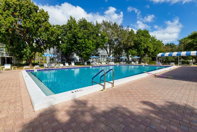 view of swimming pool