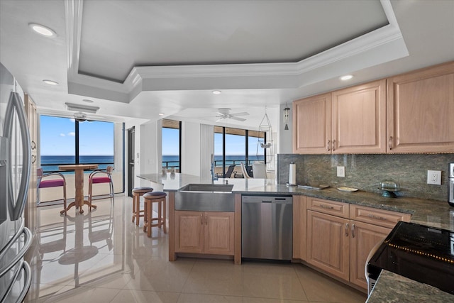 kitchen featuring ceiling fan, a raised ceiling, a healthy amount of sunlight, and stainless steel appliances