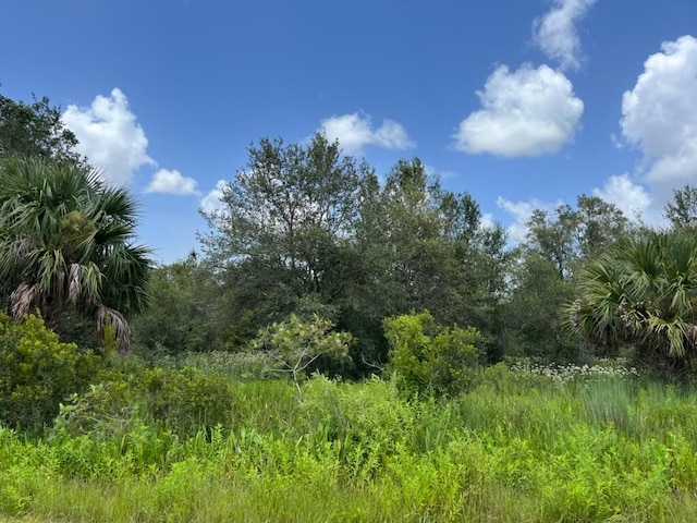 17915 290th St, Okeechobee FL, 34972 land for sale