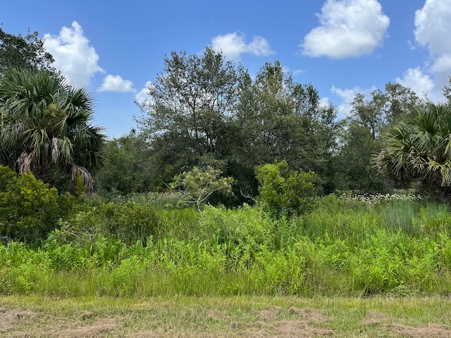 Listing photo 2 for 17915 290th St, Okeechobee FL 34972