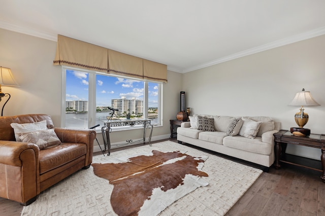 living room featuring hardwood / wood-style floors and ornamental molding