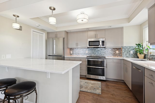 kitchen featuring dark hardwood / wood-style floors, decorative light fixtures, appliances with stainless steel finishes, and a tray ceiling