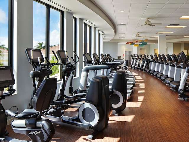 exercise room with a drop ceiling and ceiling fan