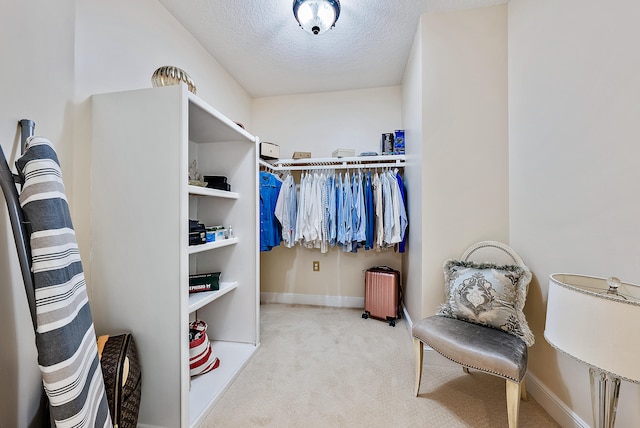 walk in closet featuring light colored carpet and radiator