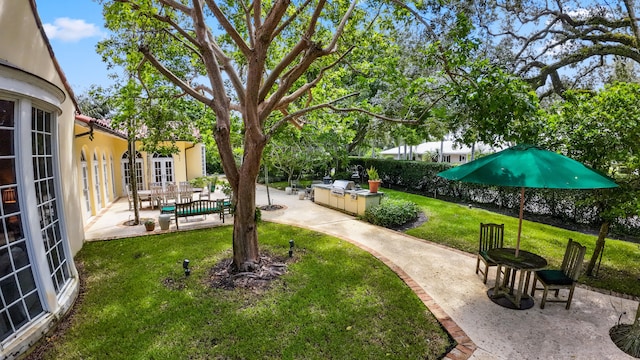 view of yard featuring french doors and a patio