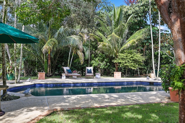 view of swimming pool with a patio area