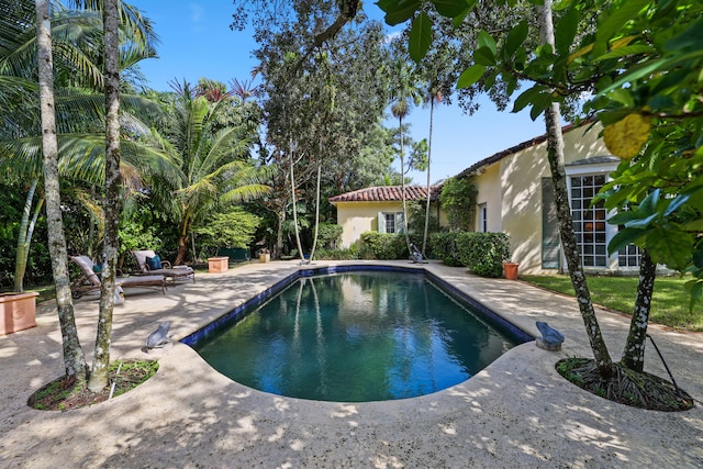 view of swimming pool with a patio