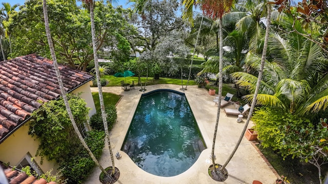 view of pool with a patio area