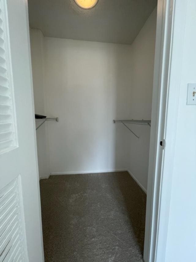 walk in closet with dark colored carpet