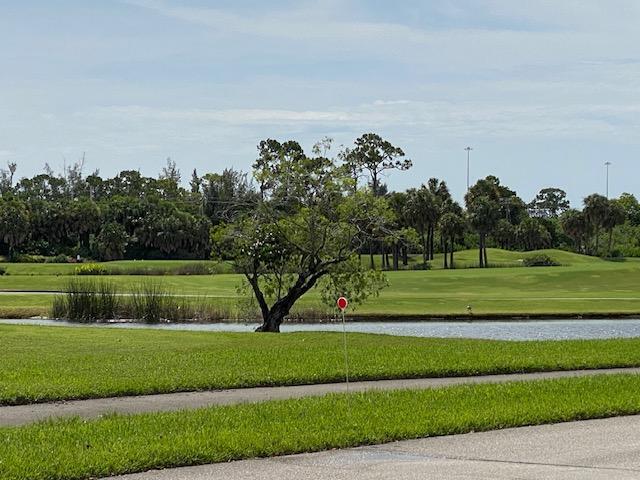 surrounding community featuring a yard