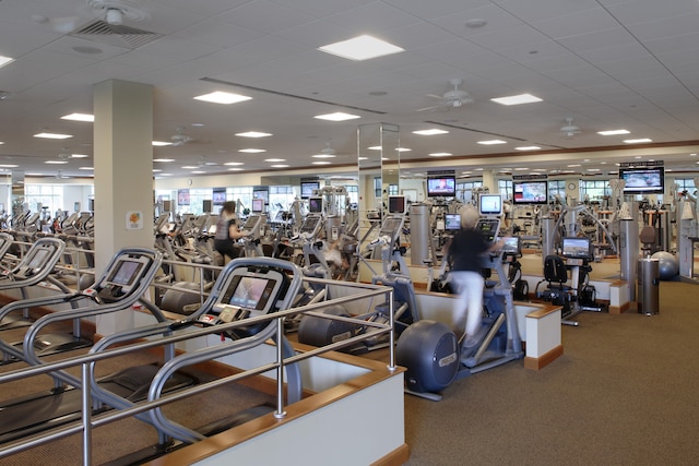 exercise room with carpet, a paneled ceiling, and ceiling fan