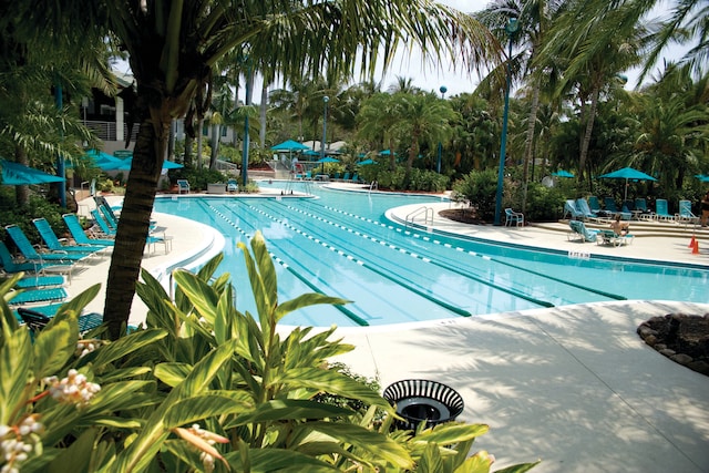 view of pool with a patio area