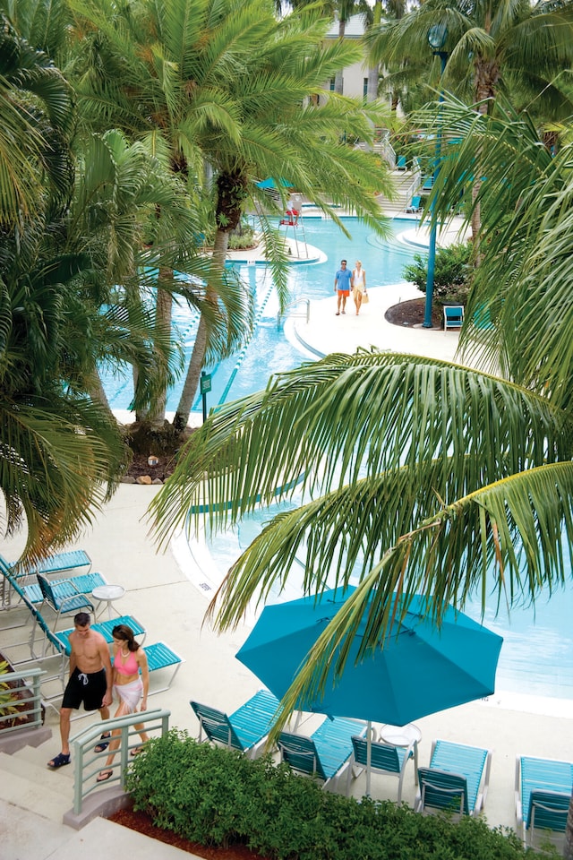 view of swimming pool