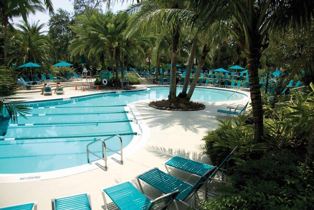 view of swimming pool featuring a patio