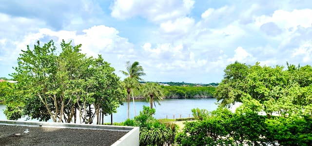 view of water feature